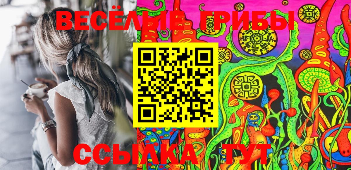 Псилоцибиновые грибы мицелий Альметьевск
